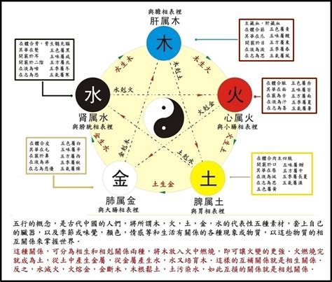 金剋木愛情|【金剋木】正確應用方式，五行相生也相剋 